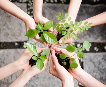 care-of-plants-GWUHB54-1.jpg